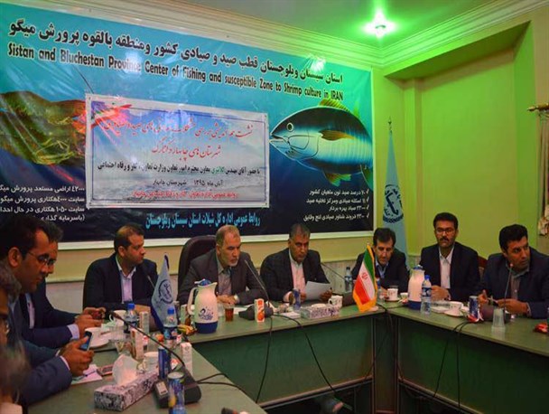 تعاونی ها باید بدون واسطه از صیادان ماهی خرید کنند