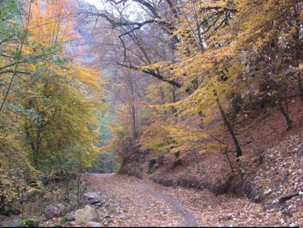 تصاویری زیبا از «نیلبرگ» رامیان در «سلطان فصلها»
