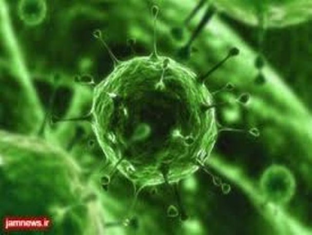 ویروس آنفولانزا دستخوش تغییرات است/ واکسن جدید ساخته می‎‎شود