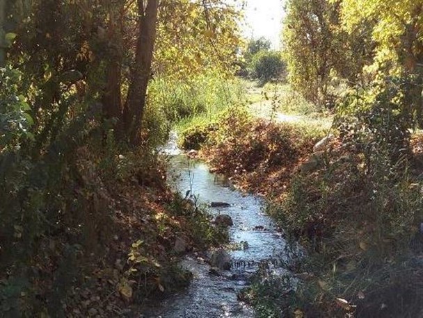 بهشت هزار رنگ پاییزی در قلب کهگیلویه وبویراحمد