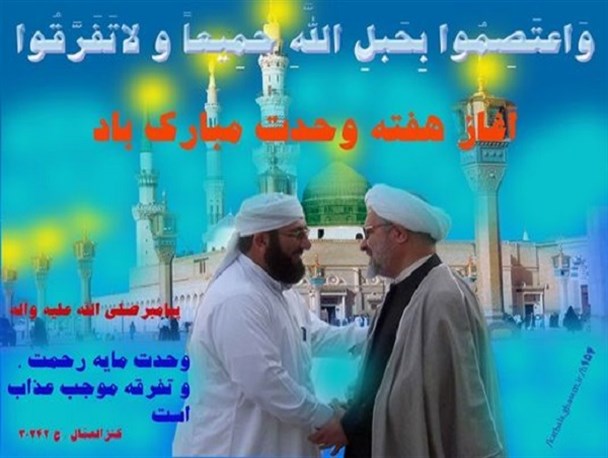 وحدت اسلامی آرزوی جهان اسلام/وحدت مسلمانان با قومیت‌گرایی دچار آسیب جدی شده است