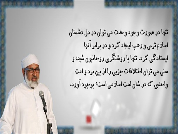 تنها با روشنگری روحانیون شیعه و سنی می توان اختلافات جزیی را از بین برد/ عکس نوشته