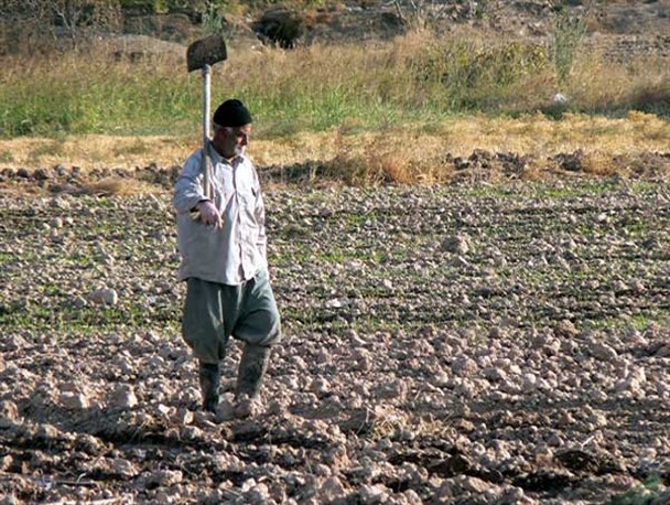تجمع کشاورزان مقابل بخشداری گندمان/بخشدار: تکذیب می کنم