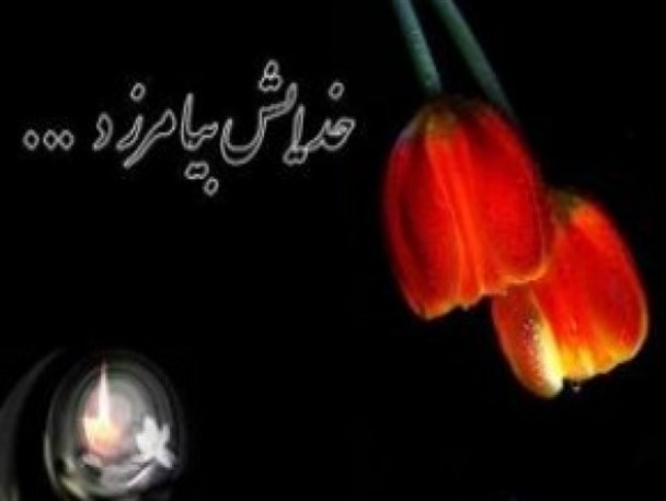 پدر شهید اسماعیل آبدرجوئی به فرزند شهیدش پیوست