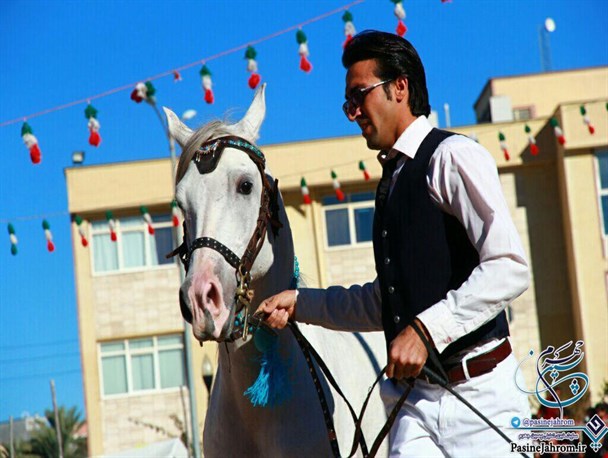 همایش زیبایی و شو سواره اسبان اصیل در جهرم برگزار شد