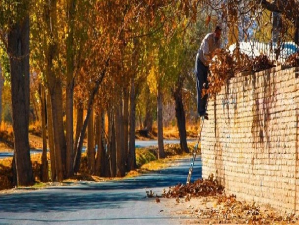 آخرین روزهای فصل خزان در گلپایگان+ تصاویر