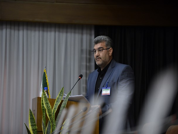 بهتری: نقش رده‌های پایه در پیشرفت ورزشهای رزمی غیرقابل انکار است