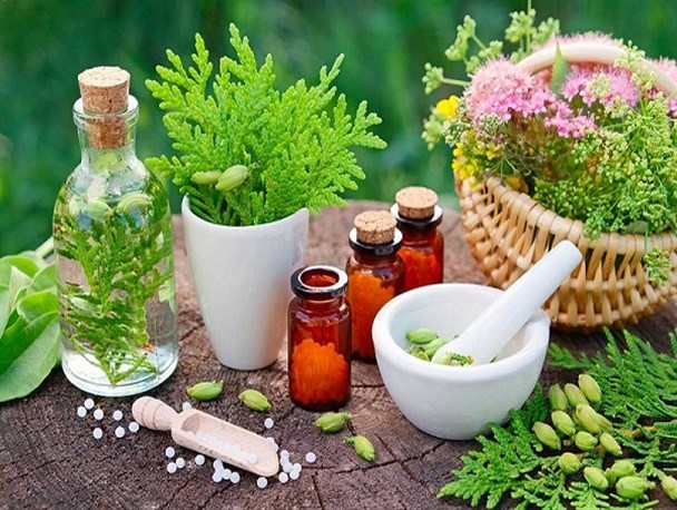 گیاهان دارویی؛ محصولاتی کم‌هزینه ولی سودآور/ خراسان رضوی قطب اول کشور در تولید گیاهان دارویی است