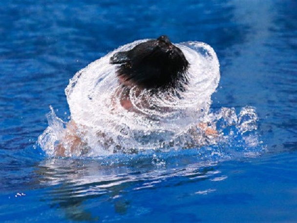 شنا قهرمانی جهان| اعلام برنامه مسابقات شناگران ایران در مسافت کوتاه در ابوظبی