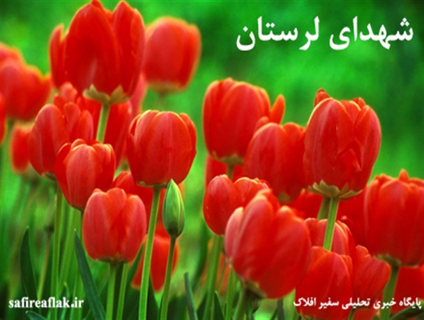 وحدت و یکپارچگی در کلام شهدا