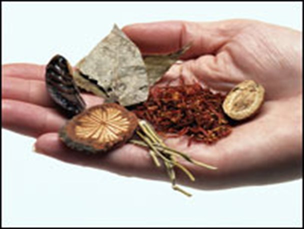 دولت به طب سنتی روی خوش نشان داد