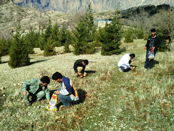 کاشت 300بذر درخت بلوط و بادام توسط کمپین حمایت از محیط زیست بهمئی