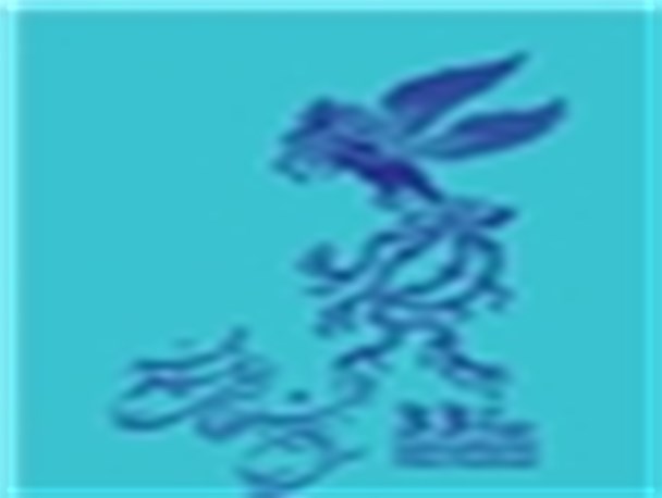 طائرپور: آقای روحانی با تفکرهای اقشار جامعه نزدیک شوند و با جامعه فاصله نداشته باشند/ایوبی:آقای جنتی استعفای من را قبول نمی‌کنند