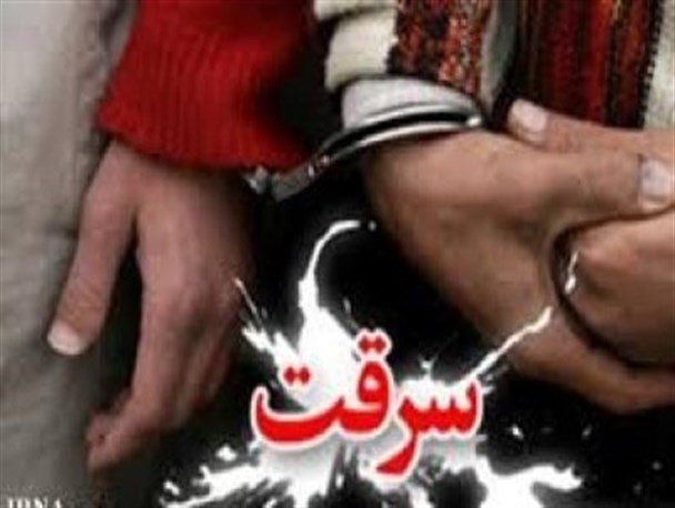 دستگیری اعضای یک باند سرقت در سربیشه