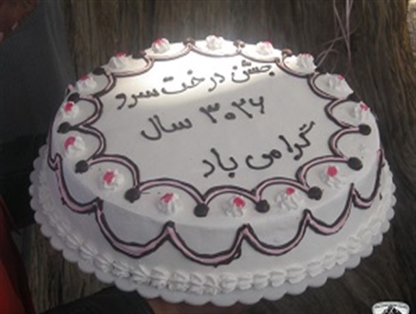 جشن تولد درخت سرو سنگان