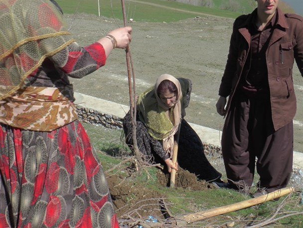 مشارکت زنان انجمن نوژین نلاس در توسعه جنگل / تصاویر