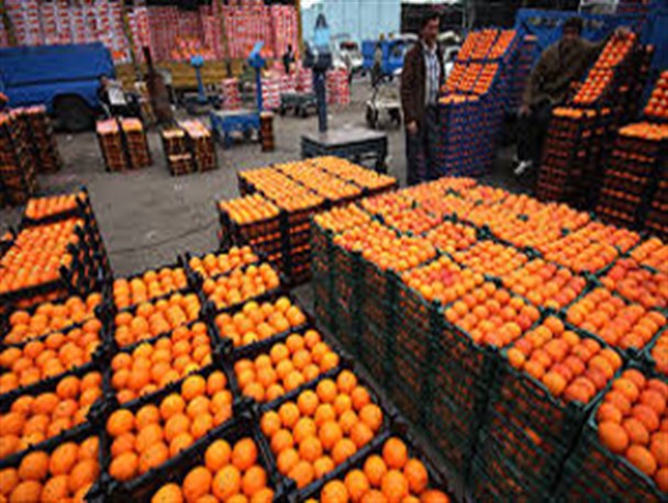 مشکلی برای تامین میوه شب عید در همدان نداریم