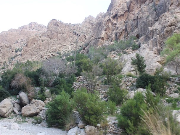 طبیعت زیبای روستای بخوان و فارغان حاجی آباد+تصاویر
