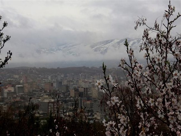طراوت بهاری در آخرین روزهای زمستان