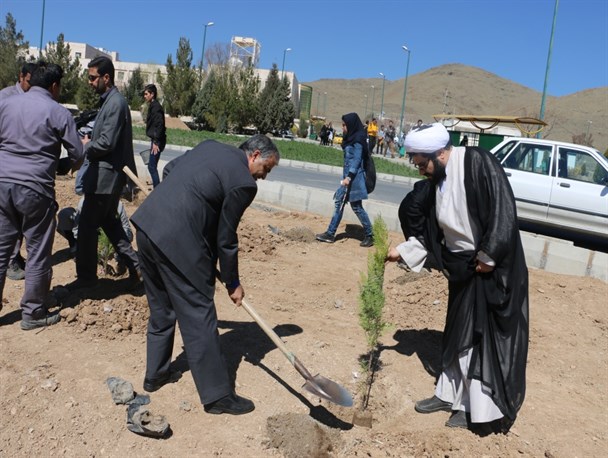ایجاد بوستان سرو قامتان به یاد شهدای دانشجوی دانشگاه اراک+ تصاویر