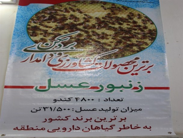کشاورزان بردسکن قهرمانان تولید در حوزۀ اقتصاد مقاومتی هستند
