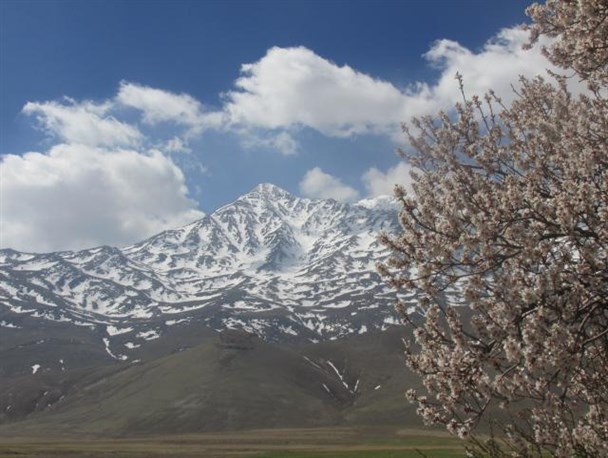 تجلی شکوفه های بهار در روستای سورانه شازند