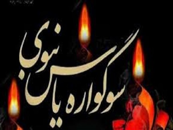 ویژه برنامه های سوگواری یاس نبوی و طرح آرامش بهاری نوروز در استان برگزار می شود
