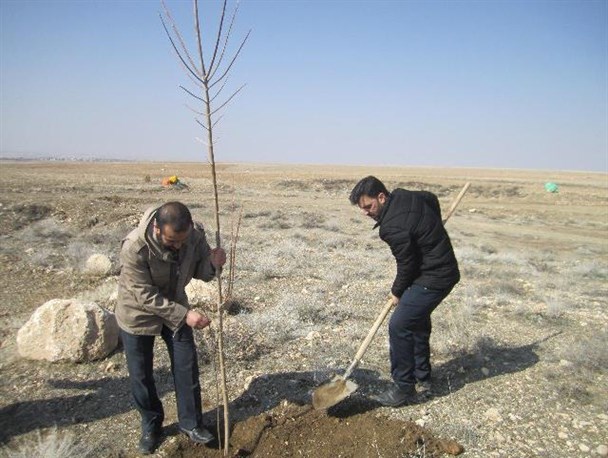 بسیجیان کمیجان به یاد شهدا نهال کاشتند+ تصاویر
