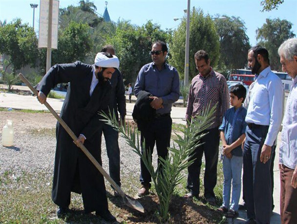 بقاع دزفول سرسبزتر شدند +تصاویر