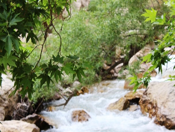 منطقه گردشگری تنگ مهریان بهشت گمشده ایران/اینجا نگین چهارفصل را ببینید