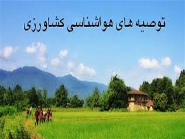 کشاورزان تمهداتی در جهت کاهش سرمازدگی درر روز های آخر هفته داشته باشند