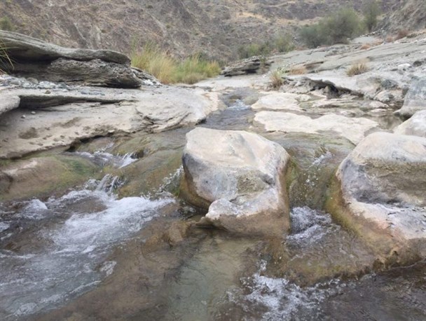 طبیعت چشم نواز روستای کندر منوجان پذیرای مسافران نوروزی+تصاویر