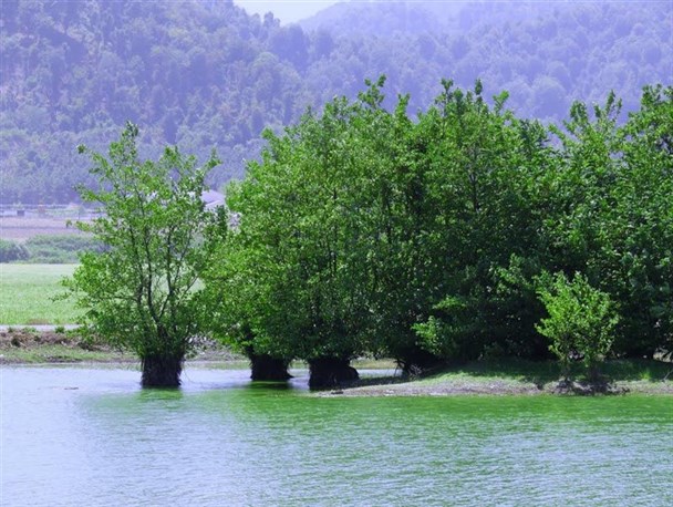 جاذبه هایی که مسکوت مانده است!+تصاویر