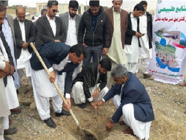 ۱۵۰۰ اصله درخت در روستاهای شهرستان مهرستان کاشته شد