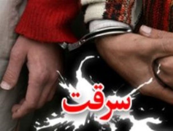 ۱۰۸ سارق دستگیر و ۲۰۲ فقره سرقت کشف شد