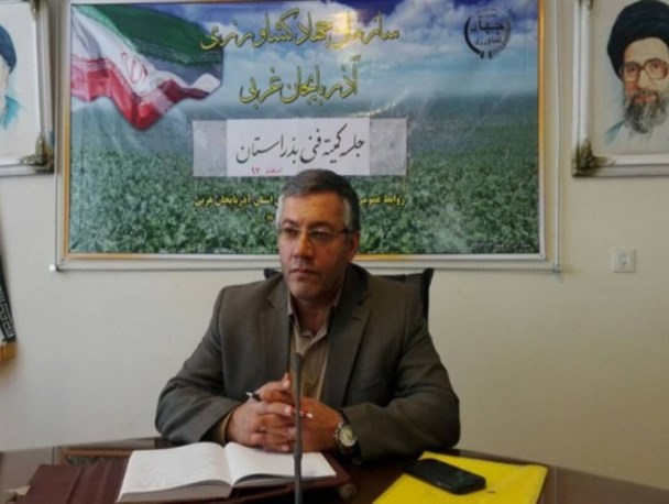 ۱۹ هزار تن بذر اصلاح شده گندم بین زارعین آذربایجان غربی توزیع شد