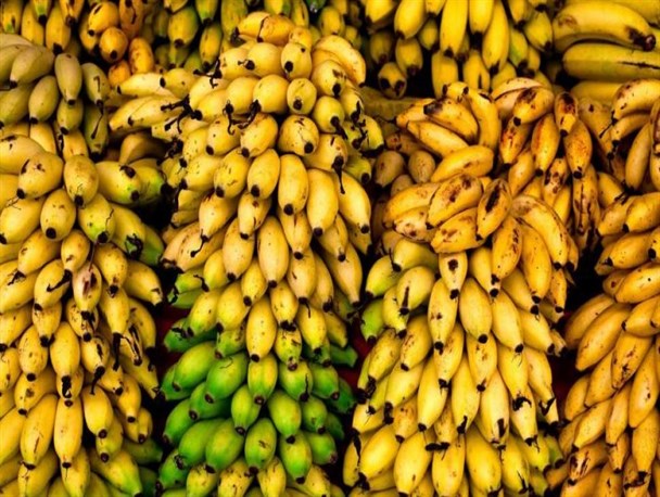 قیمت موز از کیلویی 20 هزار تومان گذشت