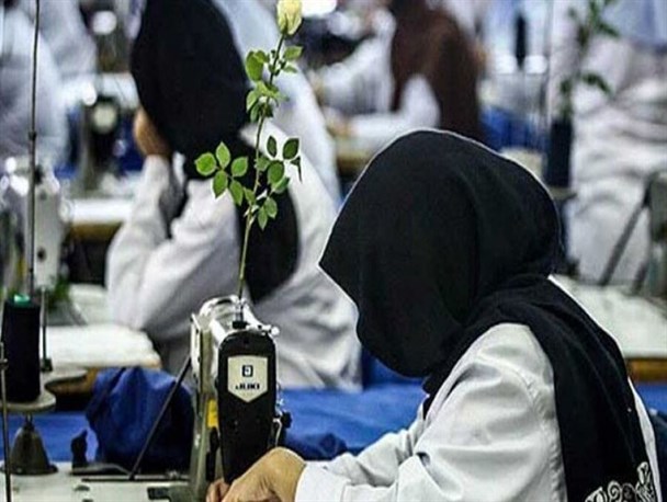 ۳۵ درصد اشتغال ایجاد شده در قزوین، سهم زنان سرپرست خانوار است/ خودکفایی ۸۰۰ خانواده تحت پوشش کمیته امداد استان قزوین