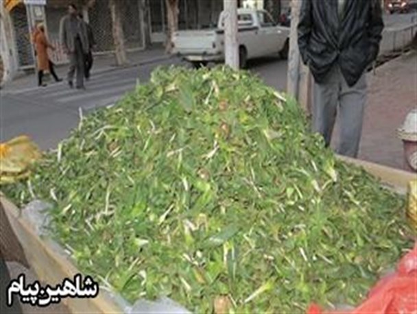 شاهین دژ وبازار داغ فروش گیاهان خوراکی+تصاویر