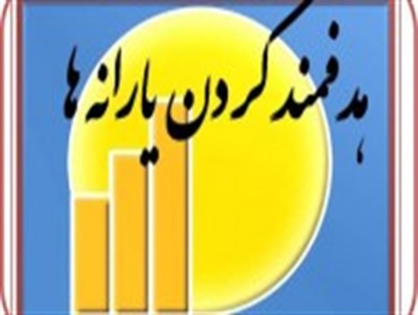تبلیغات زیاد برای انصراف مردم از یارانه‌ها صحیح نیست/ نیاز به برنامه ریزی دقیقی داریم