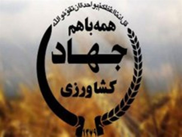 سرما زدگی 70 درصد از باغات زرد‌آلو٬ آلو و بادام در زنجان