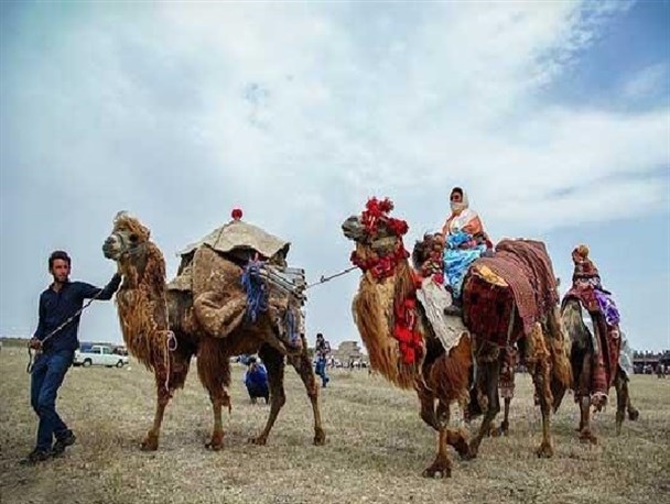جشنواره ملی کوچ عشایری اردیبهشت ماه در جعفرآبادمغان برگزار می‌شود