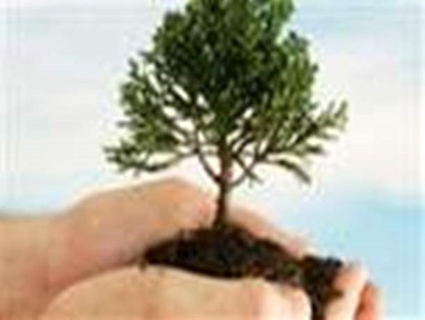 کاشت 200 اصله درخت در حوزه مقاومت بسیج هفشجان