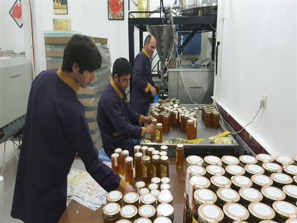 اقتصادی به شیرینی عسل+تصاویر