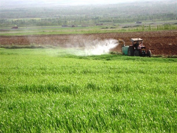 سمپاشی بیش از 4 هزار هکتار از مزارع سرپلذهاب علیه آفت سن گندم و جو