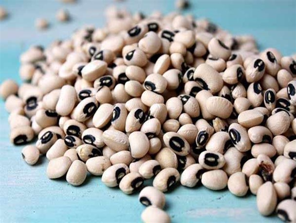 واردات 651 تن لوبیا چشم بلبلی در سال گذشته به کشور!