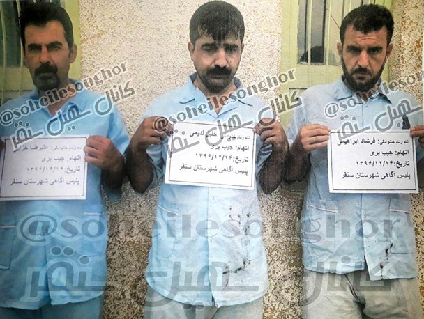انتشار تصاویر جیب برهای حرفه ای در سنقر