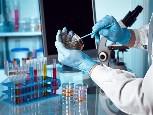 بسیاری از مشکلات صنایع به دست شرکت‌های دانش‌بنیان حل می‌شود/ تقویت بخش خصوصی لازمه رونق تولید