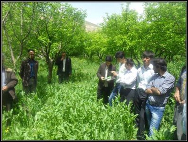 دستاوردهای اقتصاد مقاومتی در شهرستان چاراویماق در قالب تصویر