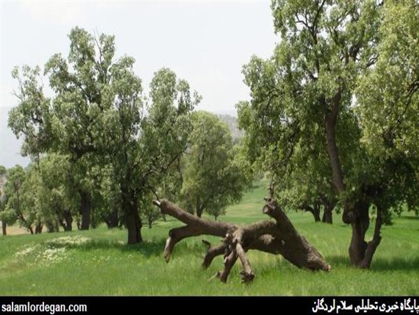 عکس های ناب و دیدنی از طبیعت بکر لردگان
